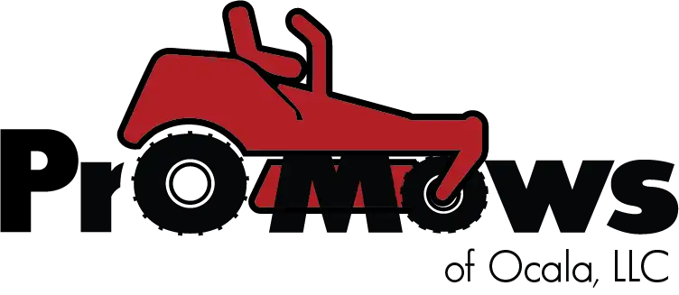 Yard maintenance and mowing